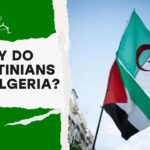 Why do Palestinians love Algeria?